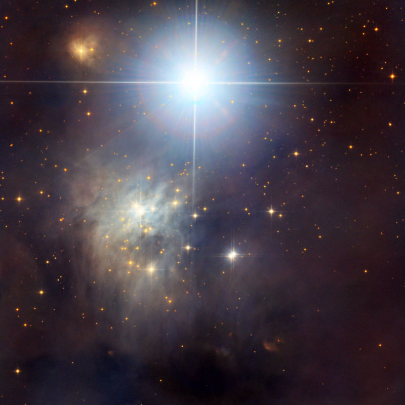 IC 348 - Cederblad 20
